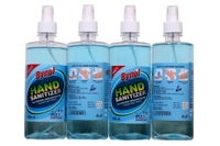 HAND SANITIZER WITH SPARY PUMP - 500 ML