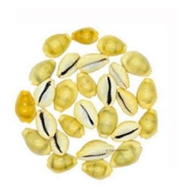 Kodi (yellow) - Yellow