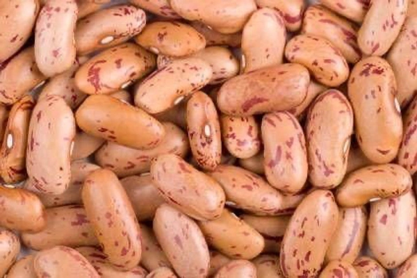 Rajma (Button) - 1 Kg