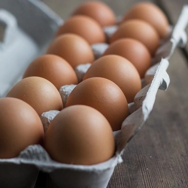 Chicken & Eggs