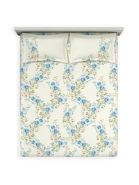 Ddecor Bedsheet King Size Bedsheet Digital Print Abstract Bedsheet 108 X 108 Inch With 2 Pillow Cover  - 2.74 M X 2.74 M