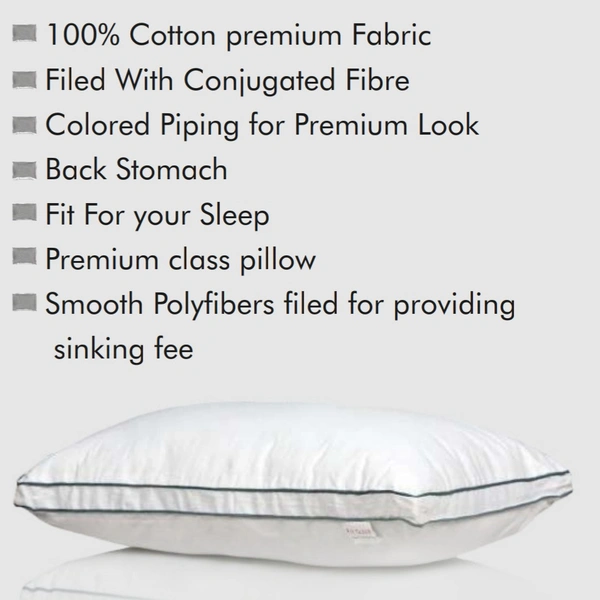 Fibre Fill Soft Pillow With Cotton Cloth In Ahmedabad Shop Online - 17" X 27"
