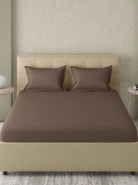 King size Bed sheet Plain 300 Tc Cotton Double Bedsheet Brown - 2.74 M X 2.74 M