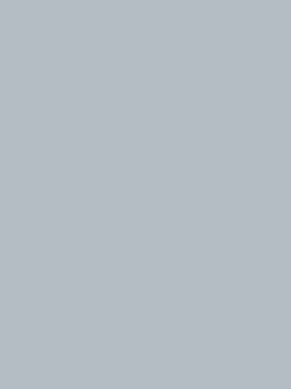 King size Bed sheet Plain 300 Tc Cotton Double Bedsheet Light Grey - 2.74 M X 2.74 M