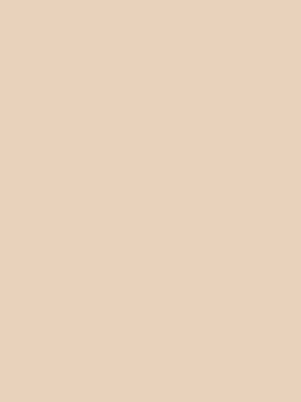 King size Bed sheet Plain 300 Tc Cotton Double Bedsheet - 2.74 M X 2.74 M