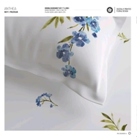 Ddecor Bedsheet King Size Bedsheet Digital Print Floral Bedsheet 108 X 108 Inch With 2 Pillow Cover  - 2.74 M X 2.74 M