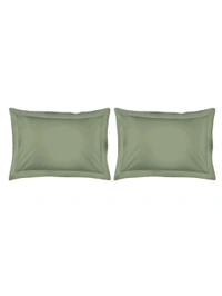 King size Bed sheet Plain 300 Tc Cotton Double Bedsheet Green Colour - 2.74 M X 2.74 M