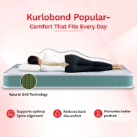Kurlon Kurlobond Popular Mattress 6 Inch Thickness in Ahmedabad - 72 X 30, 6 Inch Thickness