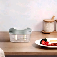 Manual Garlic Chopper, Mini Food Processor for Vegetables and Fruits, Kitchen Hand Push Mincer with Container - White