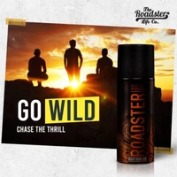 ROADSTER Into the Woods & Green Trails Non Gas Deodorant Spray - For Men  (300 ml, Pack of 2)