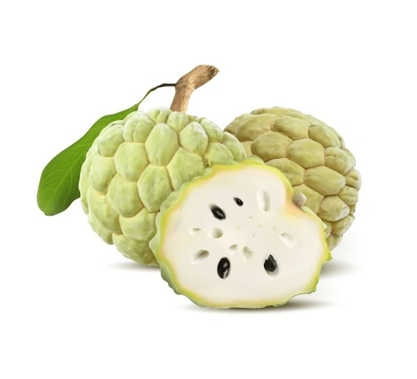 Custard Apple 5-6 pcs/Kg - 1Kg