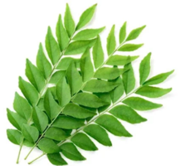 Curry Leaves 1pc 75-100g - 1