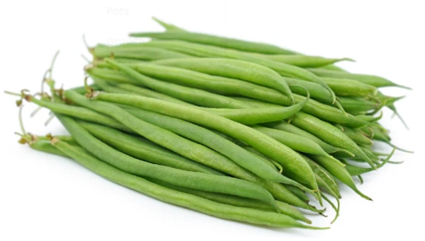 Beans French (Farasbi) - 1Kg