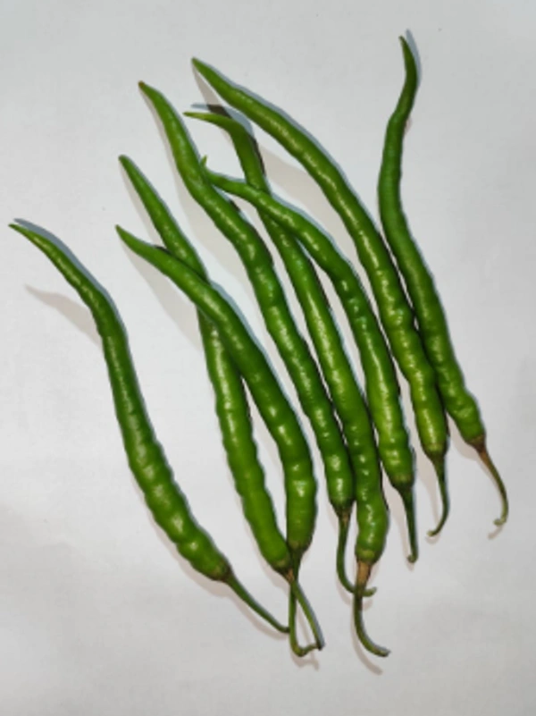 Chilli Long Green (Hari Mirch) Less Spicy - 250 gms