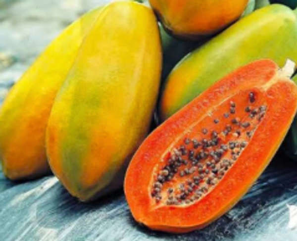 Papaya 1-1.5kg/pc - 1