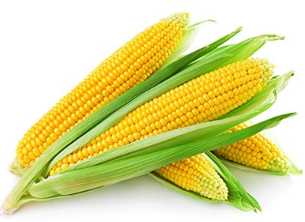 Sweet Corn (Makai/Bhutta) Whole