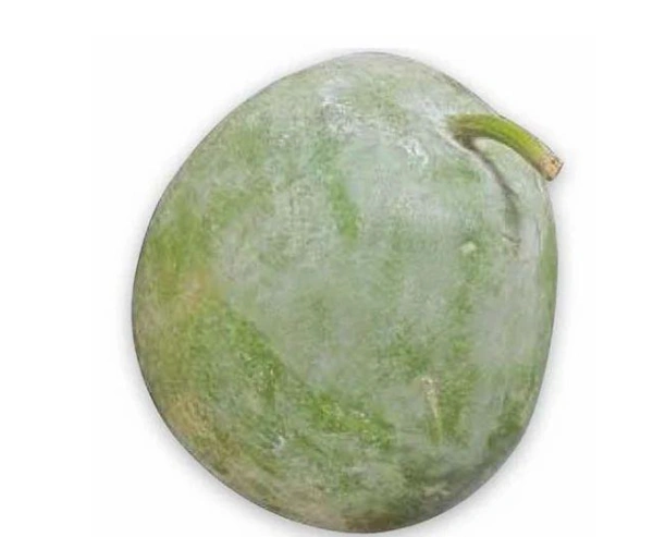 Ash Gourd Whole (Safed Kaddu/White Pumpkin) Whole 1pc 1-1.5kg - 1