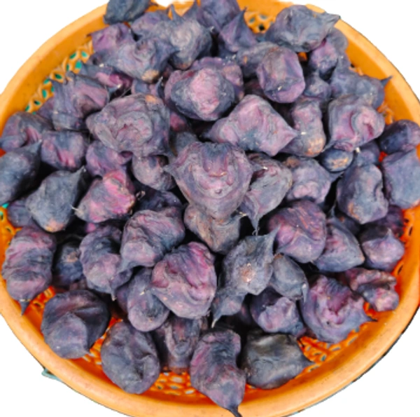 Water Chestnut