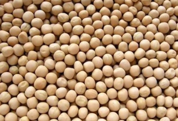 White Watana (Loose)