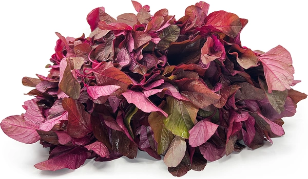 Amaranthus Leaves Bunch Red (Lalmat) 1pc 250-350g - 1