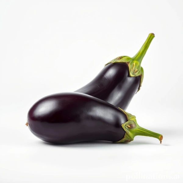 Brinjal Bharta Purple (Baigan) - 500 gms