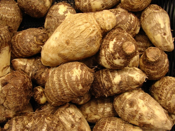 Colocasia (Arbi) - 500 gms