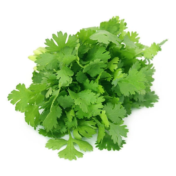 Coriander Bunch Big - with Roots 1pc 300-500g - 1
