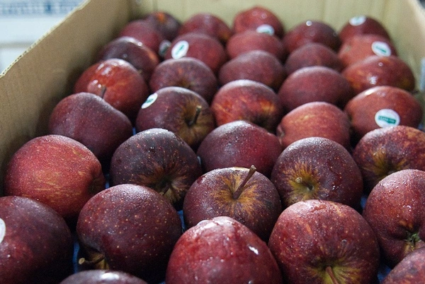 Indian Apple - 250 gms