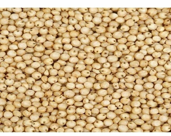 Jawari (Loose) - 500 gms