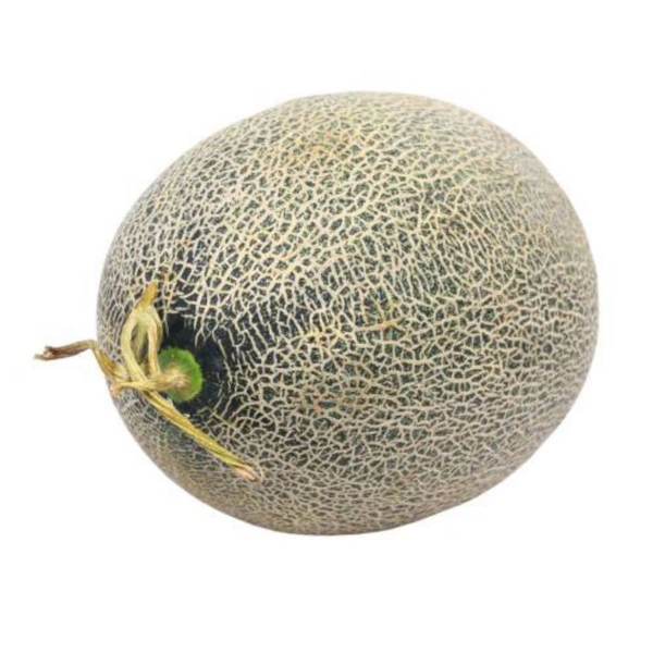 Musk Melon 800-990g/pc - 1