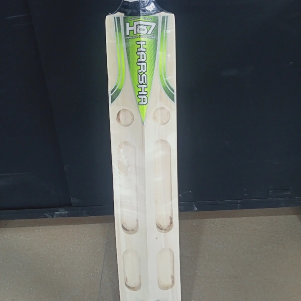 Cricket Bat