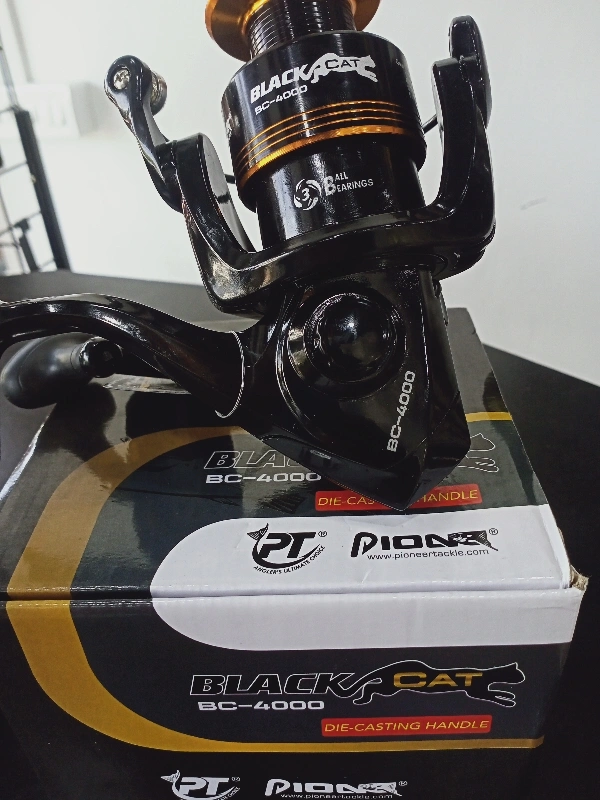 Pioneer Blackcat