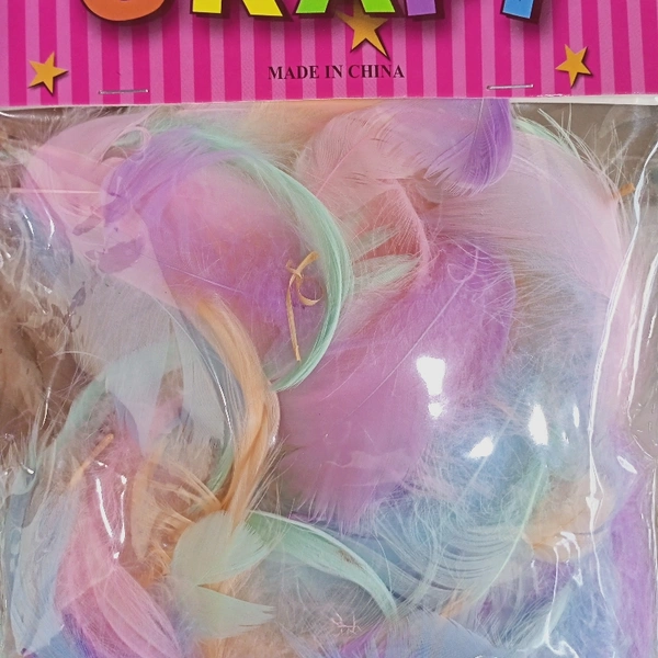 Rainbow Feather