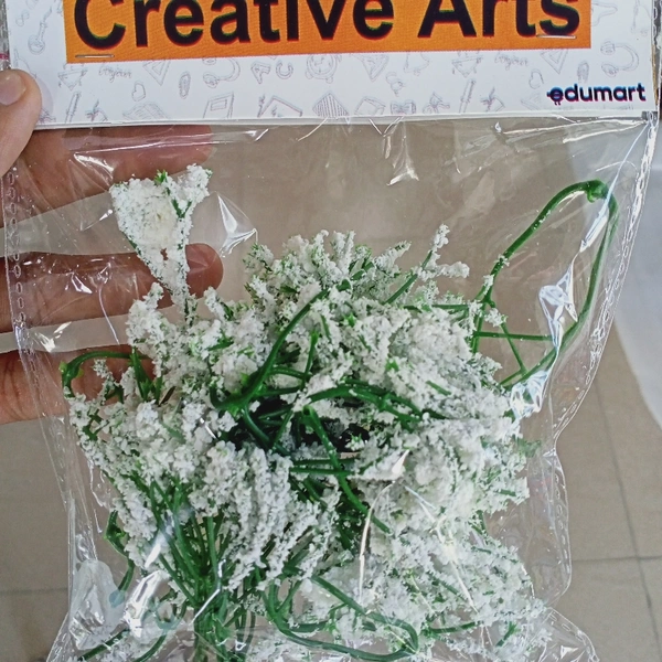 Flower Seeds