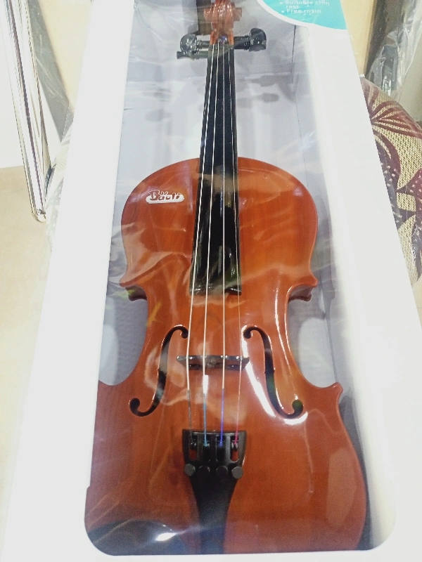 Melody Violin