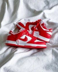 Nike SB Dunk Gym Red  - 40