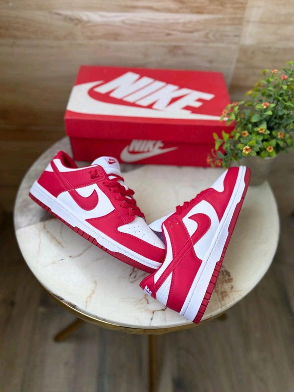 Nike SB Dunk Gym Red  - 45