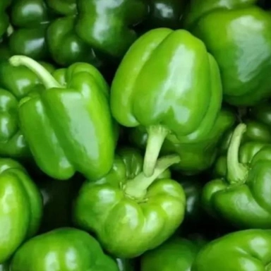 Shimla Mirch (Capsicum)
