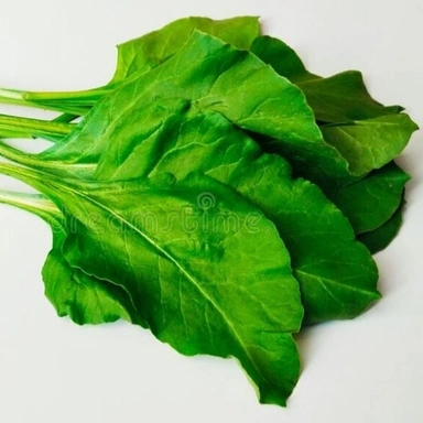 Palak