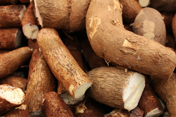 Arrowroot- மரவள்ளிக்கிழங்கு - 1 KG