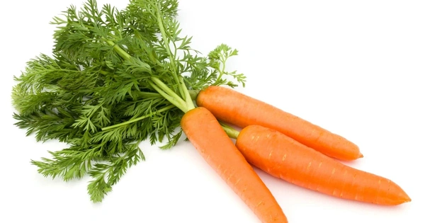 Carrot - கேரட் - 1 KG