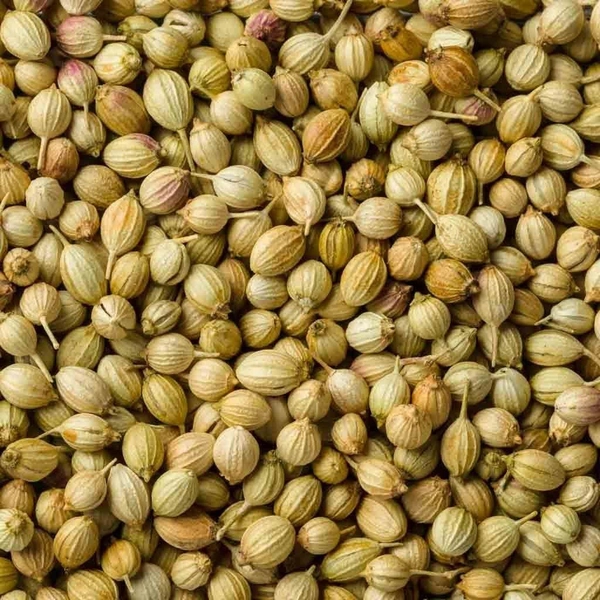 Coriander - தனியா - 1 KG
