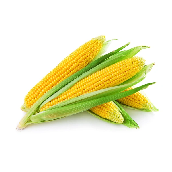 Corn-சோளம் - 500g