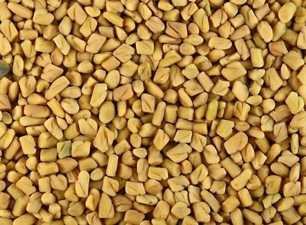 Fenugreek - வெந்தயம் - 500G