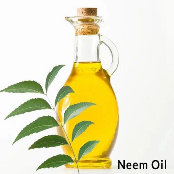 Neem Oill-வேப்ப எண்ணெய் - 500g