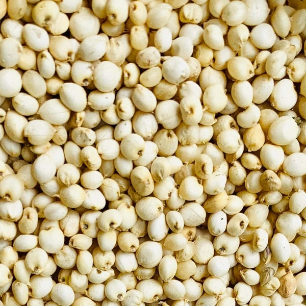 White Corn Seeds-வெள்ளை சோளம் - 1 KG