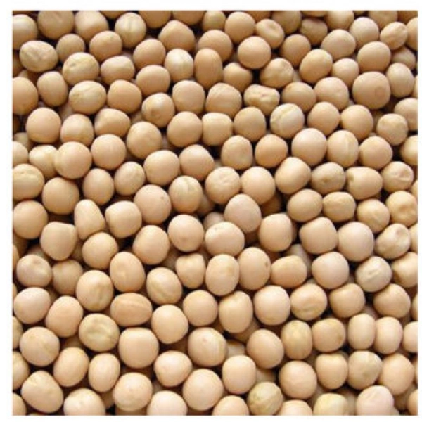 Matar Kolai ( মটর কলাই) - 500 gram, Quality -A