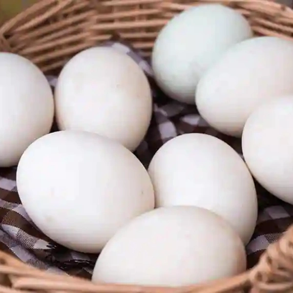 Salimar Egg সালিমার ডিম ( ৩০ পিস) - 