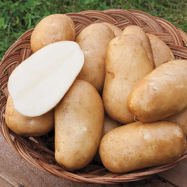 Potato আলু - 1kg