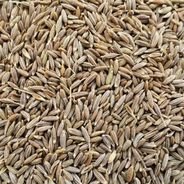Jeera (জিরা গোটা) লুজ Q-A - 100g
